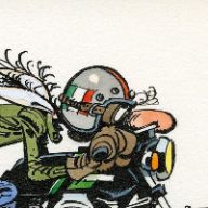 User profile picture