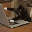 Vincent Jullion's avatar
